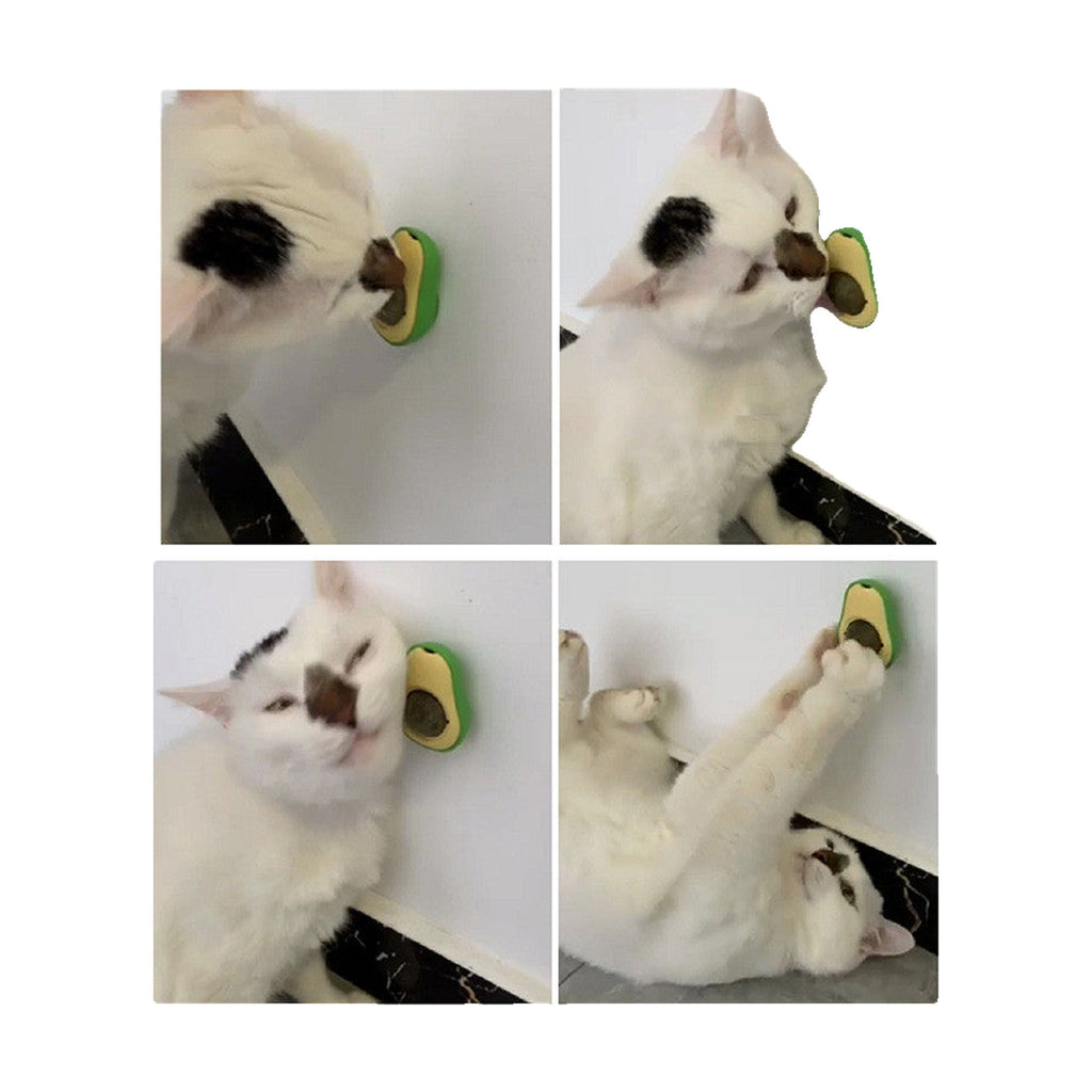 Juguete Aguacate con Bola de Catnip para Gatos