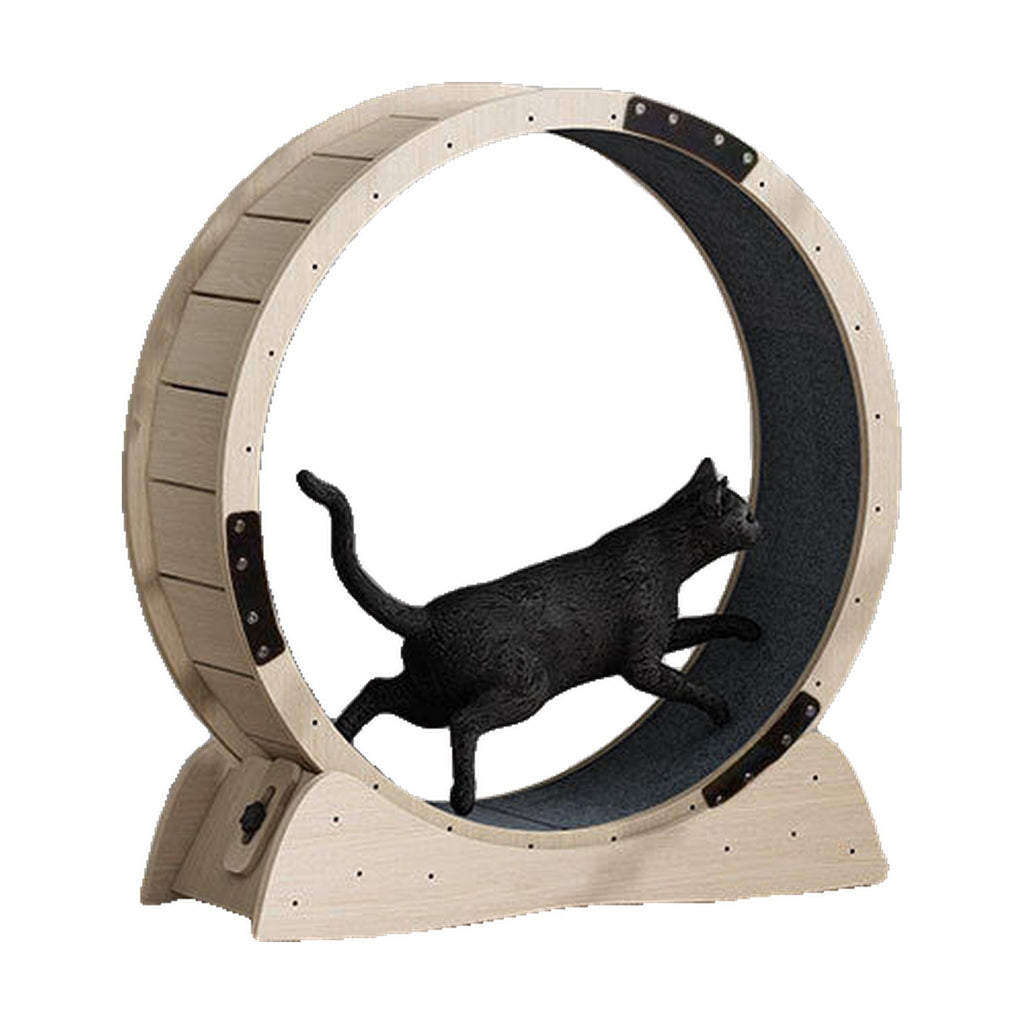 Rueda de Ejercicio para Gatos