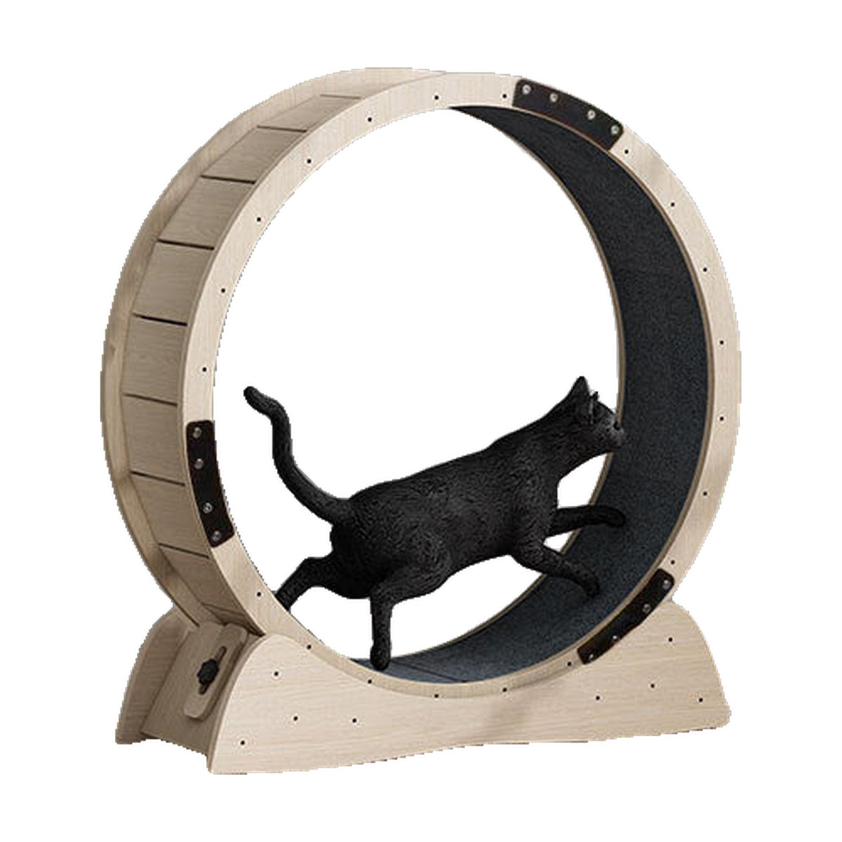 Rueda de Ejercicio para Gatos