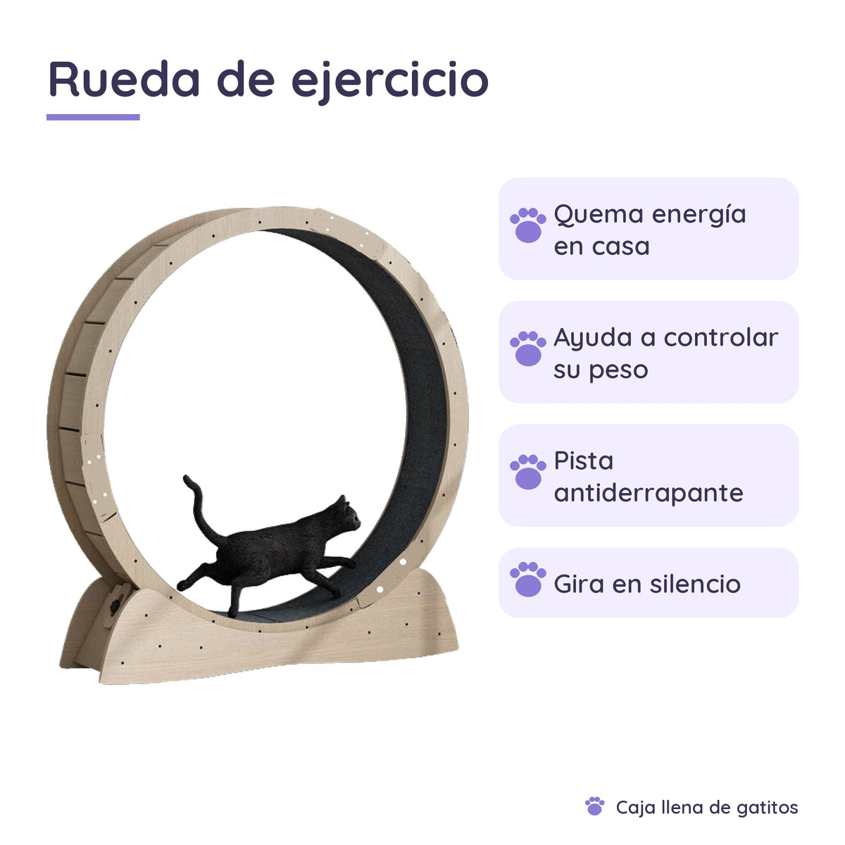 Rueda de Ejercicio para Gatos